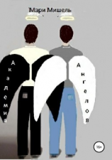 читать Академия ангелов