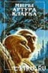 читать Город и звезды