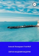 читать Святая академия Мадории