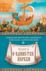 читать Книга о единстве Церкви