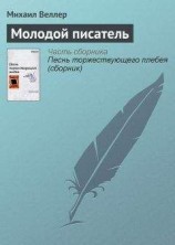 читать Молодой писатель