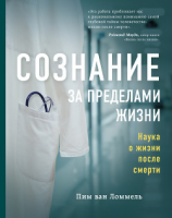 читать Сознание за пределами жизни. Наука о жизни после смерти