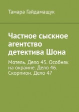 читать Частное сыскное агентство детектива Шона. Мотель. Дело 45. Особняк на окраине. Дело 46. Скорпион. Дело 47