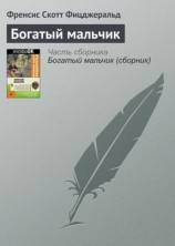 читать Богатый мальчик