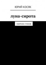 читать Луна-сирота. Сборник стихов