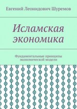 читать Исламская экономика. Фундаментальные принципы экономической модели