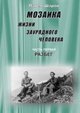 читать Мозаика жизни заурядного человека. Часть первая. Разбег