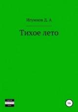читать Тихое лето