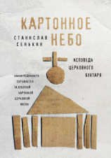читать Картонное Небо. Исповедь церковного бунтаря
