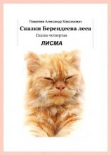 читать Сказки Берендеева леса-3. ТИШКА