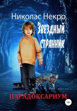 читать Парадоксариум. Звездный странник