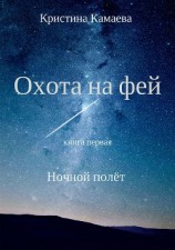 читать Охота на фей. Книга первая. Ночной полет