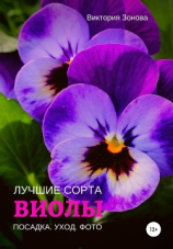 читать Виолы. Лучшие сорта