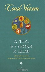 читать Душа, ее уроки и цель. Практическое ченнелинговое руководство