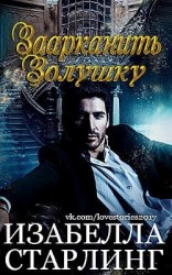 читать Заарканить Золушку (ЛП)