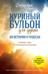 читать Куриный бульон для души: 101 история о чудесах