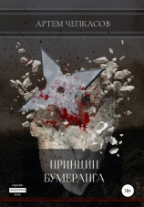 читать Принцип бумеранга