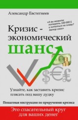 читать Кризис: экономический шанс