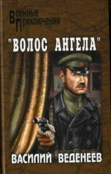 читать Волос ангела