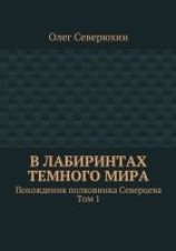 читать В лабиринтах тёмного мира