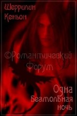 читать Одна безмолвная ночь (Зефира и Страйкер)