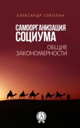 читать Самоорганизация социума. Общие закономерности
