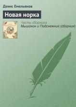 читать Новая норка