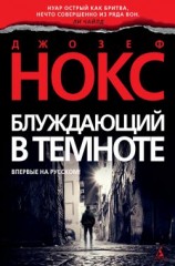 читать Блуждающий в темноте