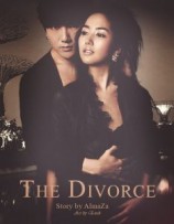 читать Развод