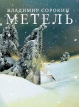 читать Метель