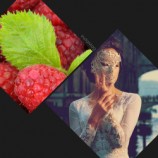 читать Дани