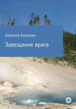 читать Завещание врага