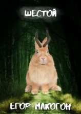 читать Шестой...