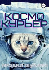 читать Космокурьер