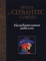 читать Назидательные новеллы