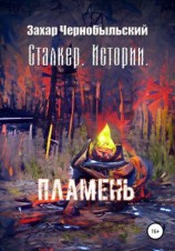 читать Сталкер. Истории. Пламень