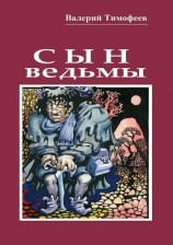 читать Сын ведьмы. Волшебная сказка