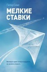 читать Мелкие ставки. Великую идею нельзя выдумать, но можно открыть