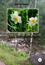 читать Два автоматизма нарциссического болота