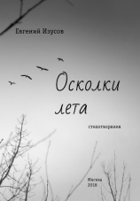 читать Осколки лета
