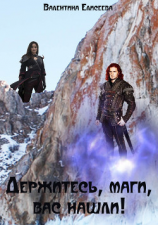 читать Держитесь, маги, вас нашли!