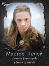 читать Мастер теней