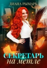 читать Секретарь на метле