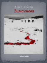 читать Зима гнева