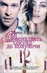 читать Двенадцать секунд до полуночи
