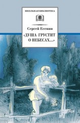 читать Душа грустит о небесах... Стихотворения и поэмы