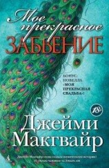 читать Мое прекрасное забвение