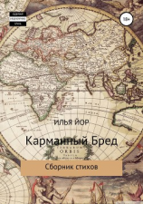 читать Карманный бред