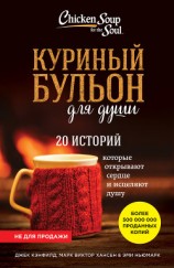читать Куриный бульон для души. 20 историй, которые открывают сердце и исцеляют душу (фрагмент)