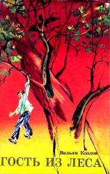читать Гость из леса. Повесть